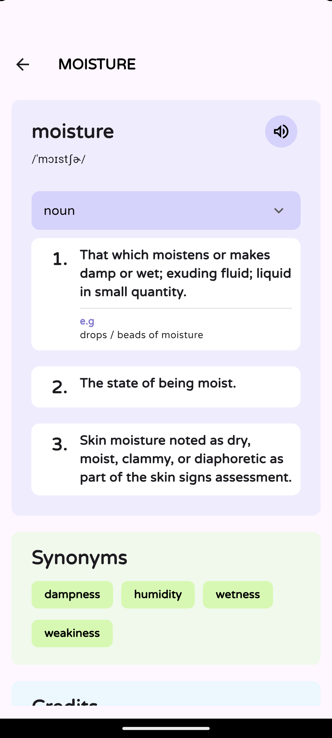 Word Meaning Screen - Easy Dictionary App